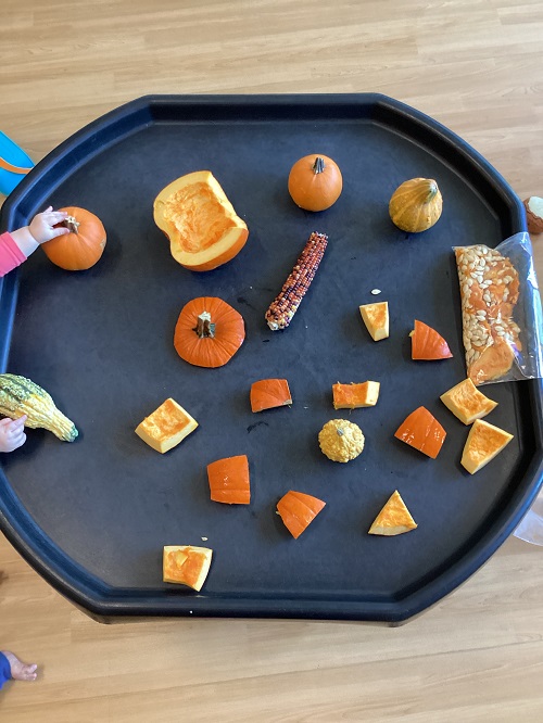 A tuff tray filled with fall items