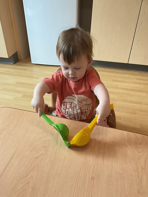 little boy exploring lemon squeezer