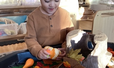 Exploring Seasonal Changes 