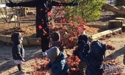 Exploring Autumn Leaves 