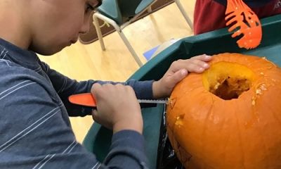 Fall: Exploring a Pumpkin 