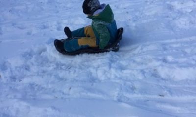 Tobogganing Team Work
