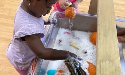 Pumpkin Exploration through washing 