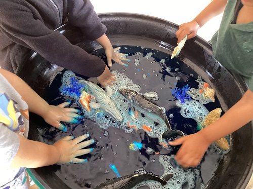 sensory table filled with water, sea creatures and seashells