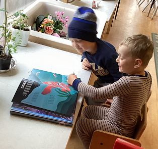two boys looking at a book with a picture of a sea creature on it. one boy sitting on a wooden chair the other standing and leaning on the table beside him