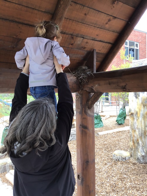 educator holding one child up high above her head, so the child can look at the birds nest in the corner,up on a tall wooden play structure.