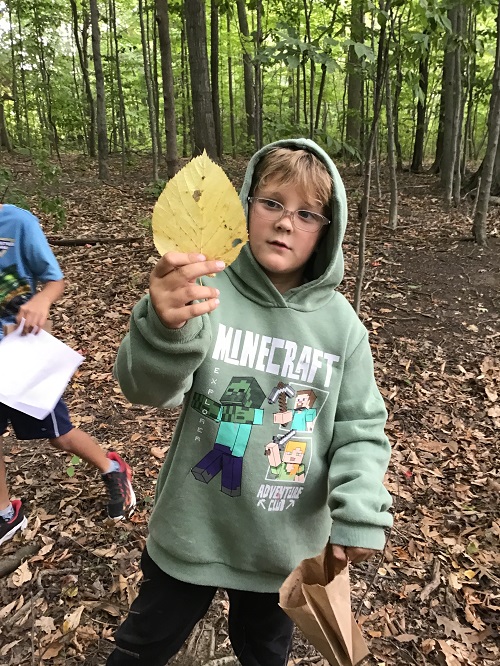 child in a forest holding up a large yellow leaf