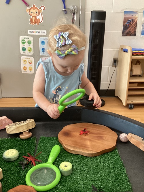 A toddler looking through a magnifying glass at plastic bugs and insects 