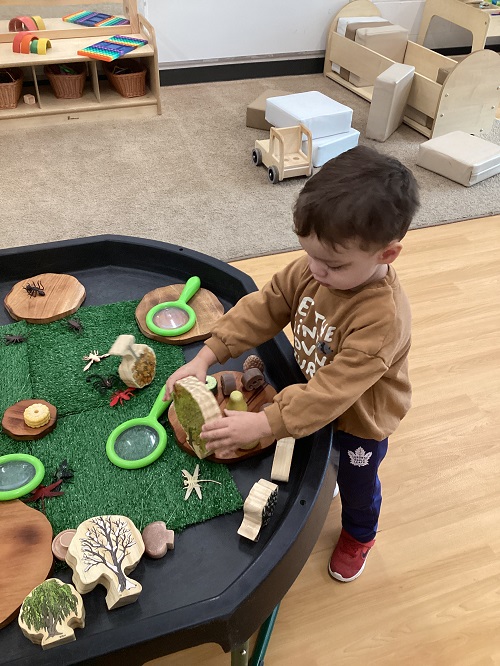 A toddler creating a habitat for the bugs using wooden discs 