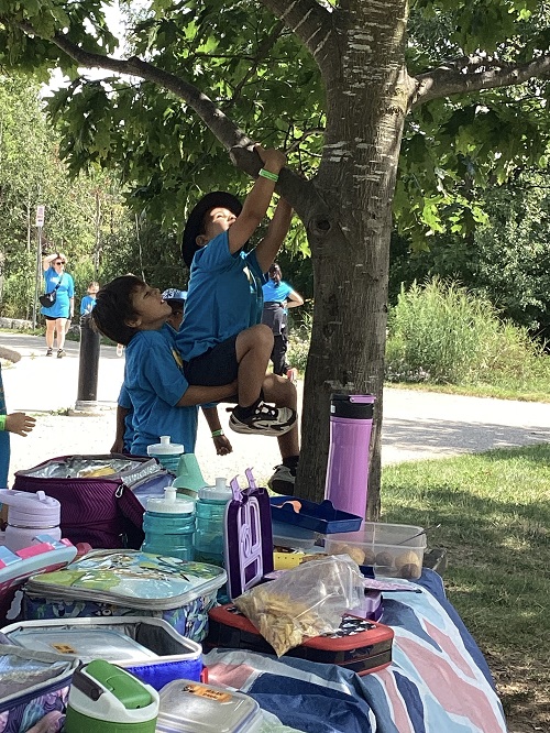 child hanging from a tree trying to climb it, while another child is behind them lifting them up and helping them get their legs up