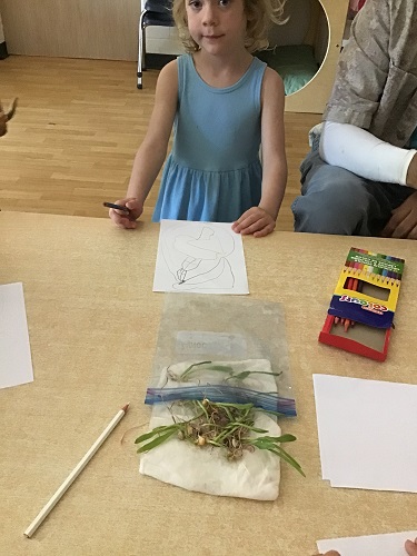 A child at a table drawing a picture of the plants she sees
