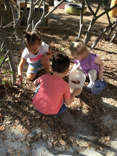 3 Preschool children crouching around the base of a tree looking and picking up leaves, another Preschool child has a bucket in their hand