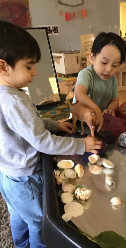 Two preschoolers are using shells and animals on the sensory table.