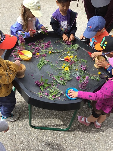 group of preschool using fresh flowers in tuff tray