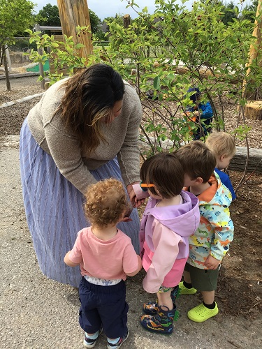 Toddlers picking berries off bush