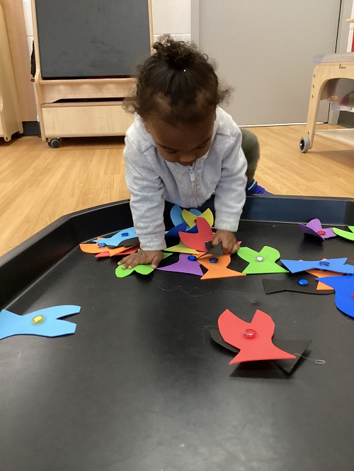 A child leaning into a tuff tray while observing different coloured fish.