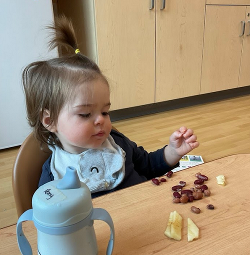 analyzing the colours