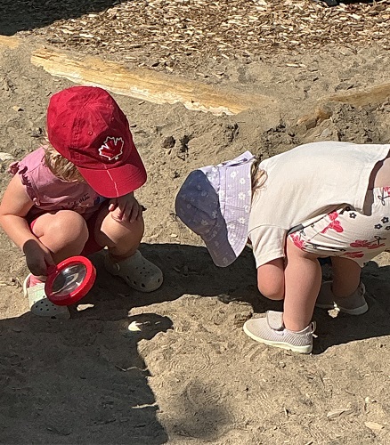 Two children looking for bugs in the sand