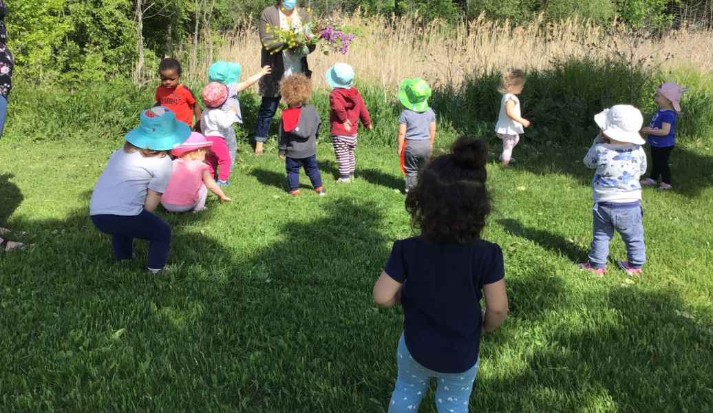group of children observing nature