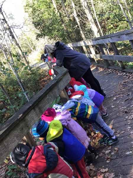 group looking over the bridge on a nature walk