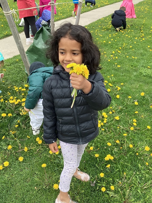 child holding up a bouquet of dandelions