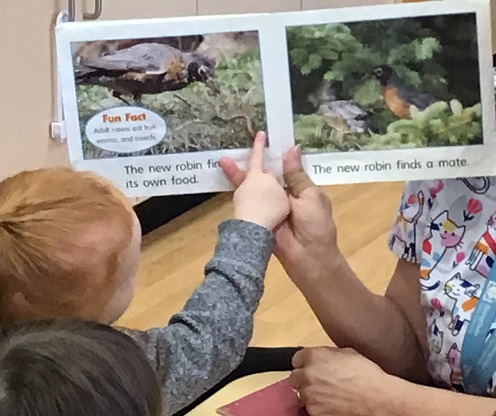 child pointing to birds in a book