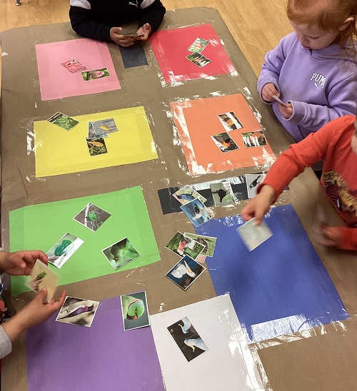 children looking at differnet pictures of birds