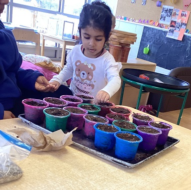 child picking a plant pot