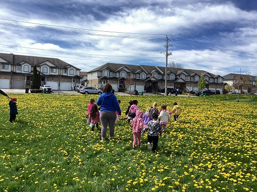 group of children walking through grass full of dandelions