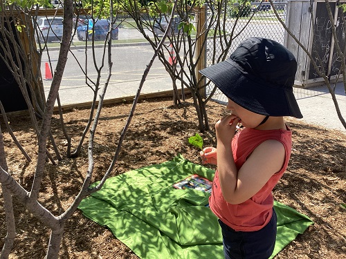 child eating veggie from the garden