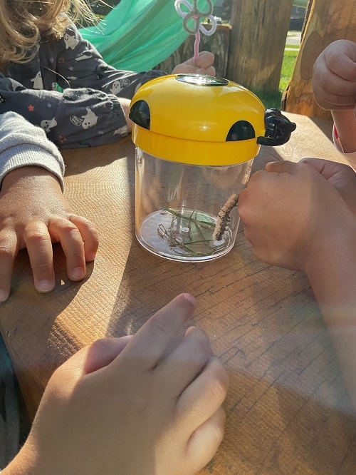 What began with the sighting of a butterfly opened many doors for learning and exploration. The children embraced every opportunity, turning their curiosity into an adventure.