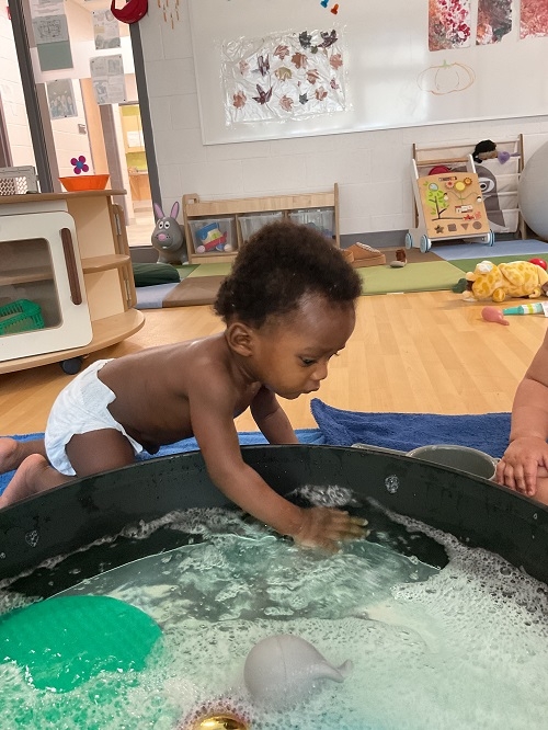 Our infant classroom recently enjoyed an ocean-inspired water play activity with sea-blue, soapy water and floating sea toys. The children explored through splashing, pouring, and feeling different textures, engaging their senses while building coordination and social connections. What began as simple water play became a joyful learning experience filled with laughter, curiosity, and discovery.