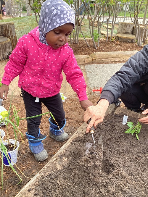 child helping to dig holes in our garden