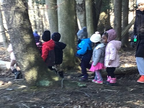 Group of children walking in the forest.