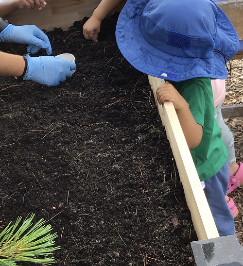 Child planting seeds in the soil.