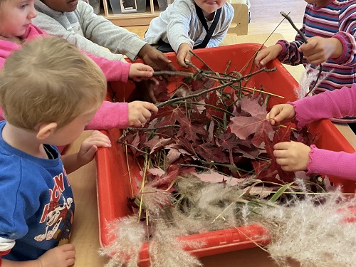 Children exploring leaves in the sensory bin.