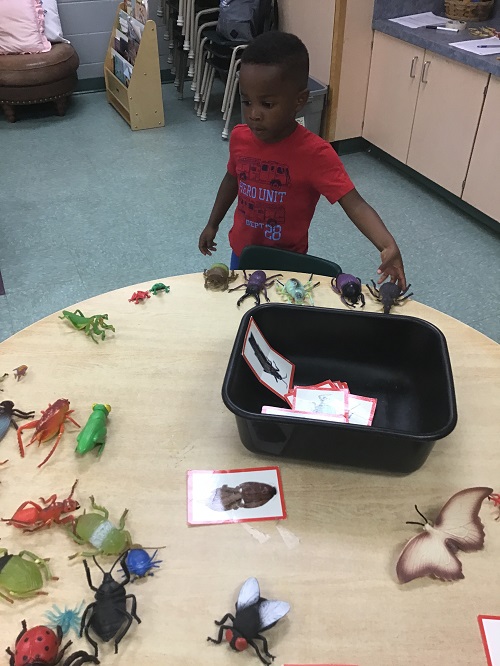 child playing with a bucket of pretend bugs