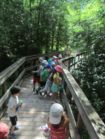 children studying a bridge