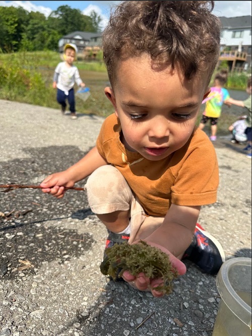 A child observing some moss they found on their journey.
