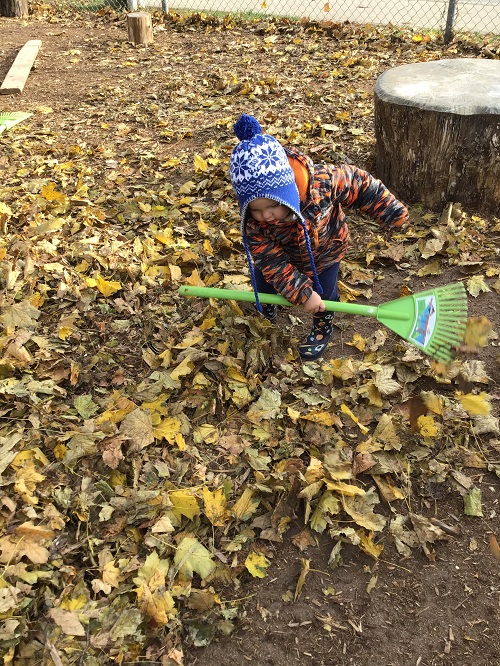 Toddler attempting to use rake