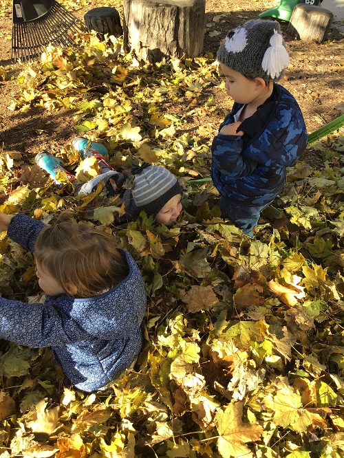 Toddlers Playing in Leaves