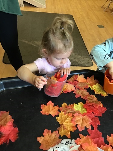 Toddler child with hair up in a pony tail holding a clear measuring cup filled with colourful maple leaves 