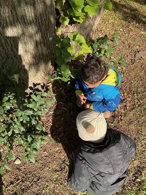 searching for critters