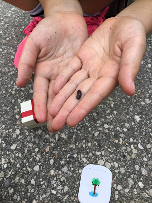 girl holding a beetle