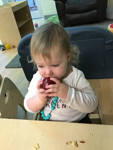 An infant biting an apple